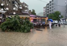 Novi Pazar zahvatilo jako nevreme, vetar obarao stabla u centru grada novi-pazar-zahvatilo-jako-nevreme,-vetar-obarao-stabla-u-centru-grada