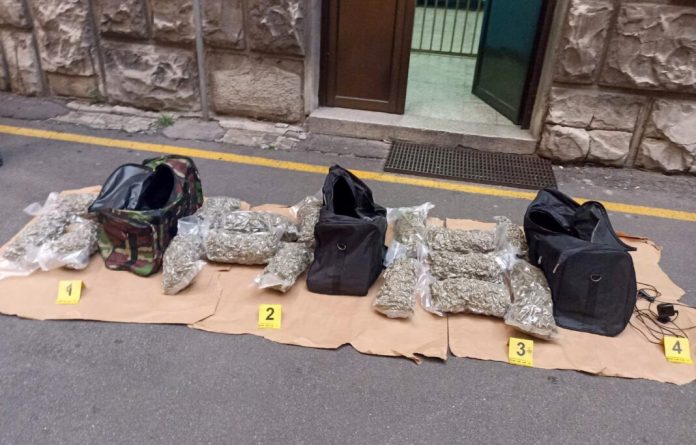 mup:-uhapseno-sedam-osoba-i-zaplenjeno-20-kilograma-marihuane