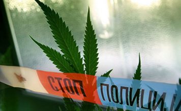 ČAČANSKI DOMAĆIN UZGAJAO MARIHUANU! Policja pronašla narko-laboratoriju cacanski-domacin-uzgajao-marihuanu!-policja-pronasla-narko-laboratoriju