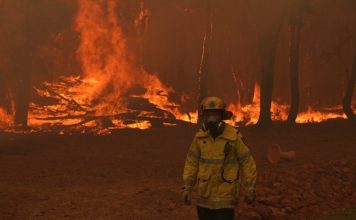 Vatra sve bliže kućama u selu Poljice vatra-sve-blize-kucama-u-selu-poljice