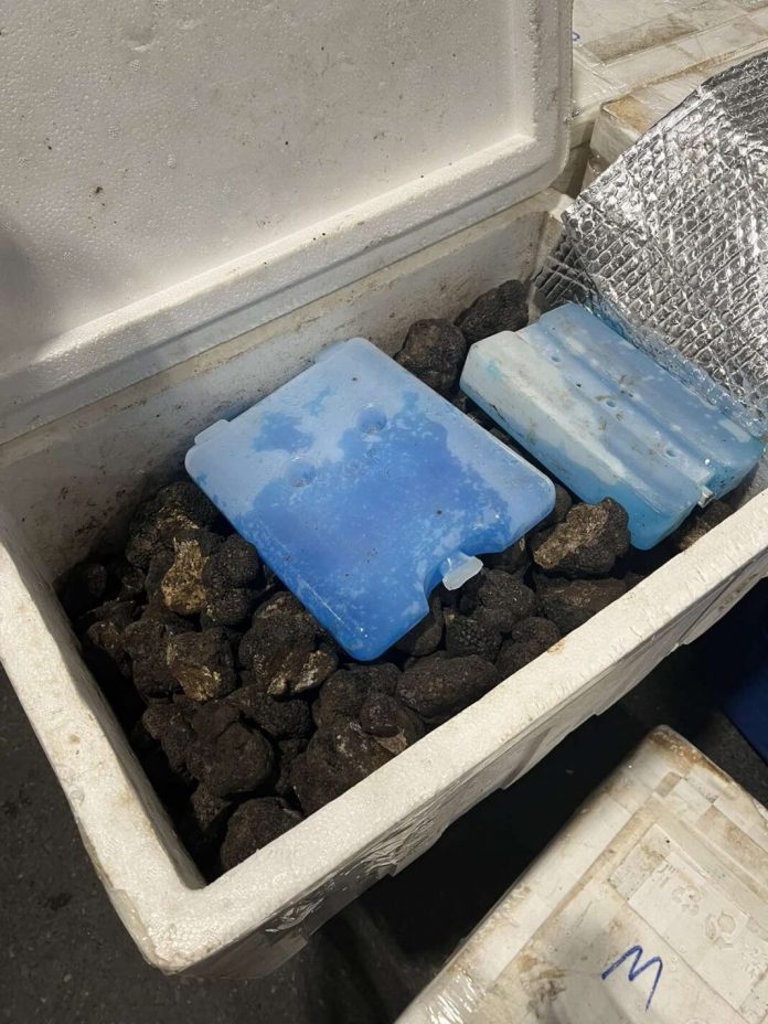 na-prelazu-batrovci-zaplenjeno-preko-200-kilograma-tartufa