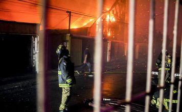 Gori fabrika peleta u Kragujevcu gori-fabrika-peleta-u-kragujevcu