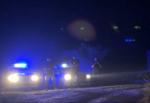 DETALJI LIKVIDACIJE SENADA RAMOVIĆA BECANA: Evo gde su ga zatekli – Odbio da se preda, pa ZAPUCAO! detalji-likvidacije-senada-ramovica-becana:-evo-gde-su-ga-zatekli-–-odbio-da-se-preda,-pa-zapucao!