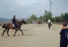 Lovor Mikiju i jahaču Anesu Martinoviću lovor-mikiju-i-jahacu-anesu-martinovicu