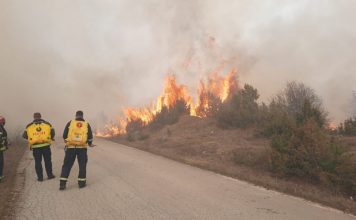 Proglašena vanredna situacija na delu teritorija opština Pirot i Dimitrovgrad proglasena-vanredna-situacija-na-delu-teritorija-opstina-pirot-i-dimitrovgrad