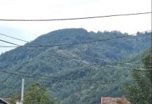 Kurtijevi specijalci upali u bolnički krug KBC u Kosovskoj Mitrovici,kao i u još tri opštine kurtijevi-specijalci-upali-u-bolnicki-krug-kbc-u-kosovskoj-mitrovici,kao-i-u-jos-tri-opstine