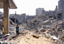 Izrael istrijebio 902 palestinske porodice u Gazi tokom prošle godine izrael-istrijebio-902-palestinske-porodice-u-gazi-tokom-prosle-godine