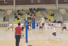 Odbojkaši Dunav Voleja slavili u Novom Pazaru odbojkasi-dunav-voleja-slavili-u-novom-pazaru