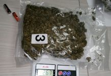 Policija u Kragujevcu zaplenila pet kilograma marihuane policija-u-kragujevcu-zaplenila-pet-kilograma-marihuane
