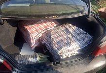 Policija u Kraljevu uhapsila jednu osobu i zaplenila 20 kg marihuane policija-u-kraljevu-uhapsila-jednu-osobu-i-zaplenila-20-kg-marihuane