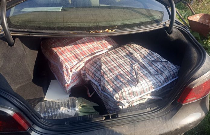 policija-u-kraljevu-uhapsila-jednu-osobu-i-zaplenila-20-kg-marihuane policija-u-kraljevu-uhapsila-jednu-osobu-i-zaplenila-20-kg-marihuane