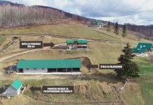 Uspješni biznismen iz Sandžaka traži porodicu za čuvanje djedovine – Daje platu i imanje uspjesni-biznismen-iz-sandzaka-trazi-porodicu-za-cuvanje-djedovine-–-daje-platu-i-imanje