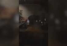 Novi detalji incidenta u ugostiteljskom objektu u Novom Pazaru novi-detalji-incidenta-u-ugostiteljskom-objektu-u-novom-pazaru