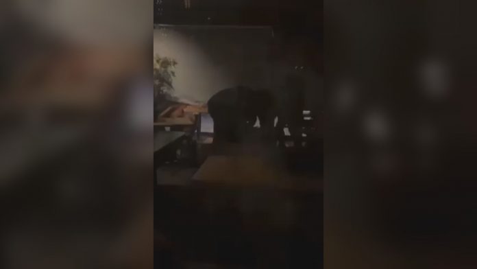 novi-detalji-incidenta-u-ugostiteljskom-objektu-u-novom-pazaru