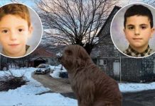 Potresan prizor ispred kuće ubijenih mališana: Medo ih još čeka potresan-prizor-ispred-kuce-ubijenih-malisana:-medo-ih-jos-ceka