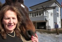 Tutinska porodica Smailagić: Ljubav prema životinjama jača od bogatstva u Njemačkoj /VIDEO/ tutinska-porodica-smailagic:-ljubav-prema-zivotinjama-jaca-od-bogatstva-u-njemackoj-/video/