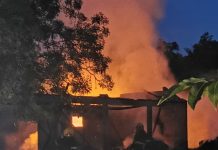 Šteta je ogromna, sve je izgorelo, Vatrena stihija progutala fabriku peleta steta-je-ogromna,-sve-je-izgorelo,-vatrena-stihija-progutala-fabriku-peleta