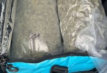 (FOTO) VELIKA ZAPLENA! Diler uhvaćen sa 21,2 kg marihuane u Golfu! (foto)-velika-zaplena!-diler-uhvacen-sa-21,2-kg-marihuane-u-golfu!