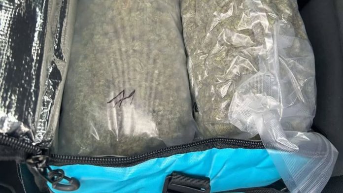 (foto)-velika-zaplena!-diler-uhvacen-sa-21,2-kg-marihuane-u-golfu! (foto)-velika-zaplena!-diler-uhvacen-sa-21,2-kg-marihuane-u-golfu!