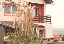 MUP: Požar u Barajevu ugašen, sumnja se da je podmetnut mup:-pozar-u-barajevu-ugasen,-sumnja-se-da-je-podmetnut