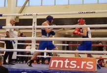 Beogradski pobednik: Rašljanin izgubio, ostaju Mavrić i Hajrović beogradski-pobednik:-rasljanin-izgubio,-ostaju-mavric-i-hajrovic