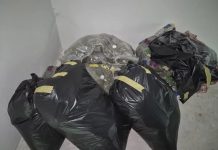 (FOTO) Zaplenjena veća količina droge! Oglasio se Dačić (foto)-zaplenjena-veca-kolicina-droge!-oglasio-se-dacic