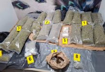 Dačić: Zaplenjena velika količina droge, uhapšen osumnjičeni za trgovinu narkoticima dacic:-zaplenjena-velika-kolicina-droge,-uhapsen-osumnjiceni-za-trgovinu-narkoticima