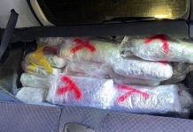 (FOTO) Policija u Karajukića Bunarima pronašla 55 kg materije za koju sumnja da je marihuana (foto)-policija-u-karajukica-bunarima-pronasla-55-kg-materije-za-koju-sumnja-da-je-marihuana