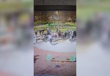 (FOTO) Masovna tuča u Prijepolju: Povređena dvojica braće, vinovnici teškog incidenta u bekstvu (foto)-masovna-tuca-u-prijepolju:-povredjena-dvojica-brace,-vinovnici-teskog-incidenta-u-bekstvu