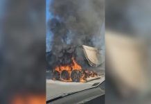 (FOTO) Zapalio se kamion pre naplatne rampe u Obrenovcu (foto)-zapalio-se-kamion-pre-naplatne-rampe-u-obrenovcu