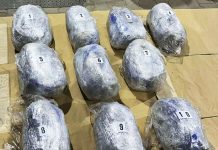 (FOTO) Zaplena kanabisa i psihoaktivnih lekova kod Raške: Uhapšen muškarac iz Novog Pazara (foto)-zaplena-kanabisa-i-psihoaktivnih-lekova-kod-raske:-uhapsen-muskarac-iz-novog-pazara