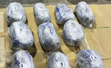 (FOTO) Zaplena kanabisa i psihoaktivnih lekova kod Raške: Uhapšen muškarac iz Novog Pazara (foto)-zaplena-kanabisa-i-psihoaktivnih-lekova-kod-raske:-uhapsen-muskarac-iz-novog-pazara