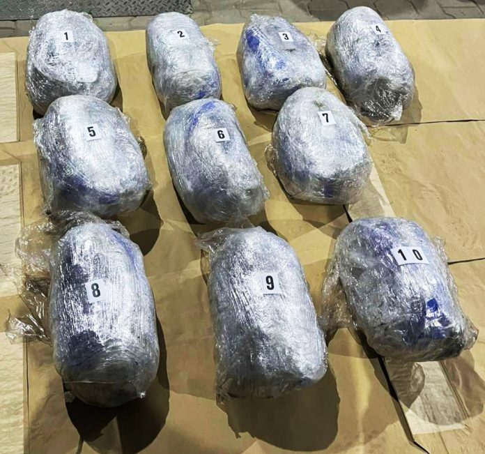 (foto)-zaplena-kanabisa-i-psihoaktivnih-lekova-kod-raske:-uhapsen-muskarac-iz-novog-pazara