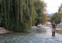 Mušičarska liga Srbije tokom vikenda u Novom Pazaru musicarska-liga-srbije-tokom-vikenda-u-novom-pazaru