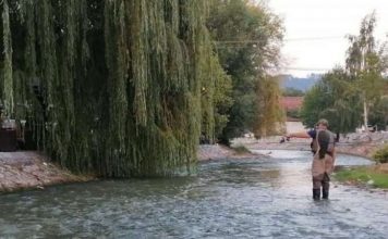 Mušičarska liga Srbije tokom vikenda u Novom Pazaru musicarska-liga-srbije-tokom-vikenda-u-novom-pazaru