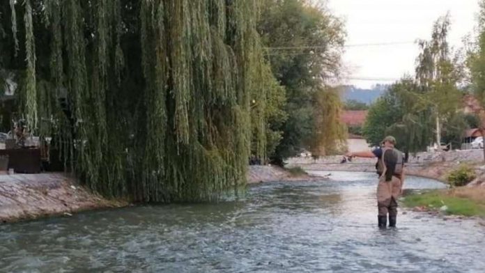 musicarska-liga-srbije-tokom-vikenda-u-novom-pazaru