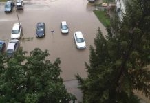 Potop na ulicama, oštećeni putevi i pokidana stabla: Silovito nevreme napravilo haos u Priboju potop-na-ulicama,-osteceni-putevi-i-pokidana-stabla:-silovito-nevreme-napravilo-haos-u-priboju