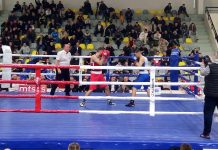 Borovčanin: Novi Payar spreman za juniorsko EP u boksu borovcanin:-novi-payar-spreman-za-juniorsko-ep-u-boksu