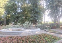 Drama u Čačku: Tokom noći u parku palo ogromno drvo, prolaznici za dlaku izbegli tragediju (FOTO) drama-u-cacku:-tokom-noci-u-parku-palo-ogromno-drvo,-prolaznici-za-dlaku-izbegli-tragediju-(foto)