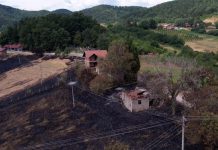 Masovni požari u Srbiji: Vanredna situacija u više gradova, povređeni vatrogasci i građani masovni-pozari-u-srbiji:-vanredna-situacija-u-vise-gradova,-povredjeni-vatrogasci-i-gradjani