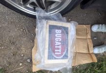 FOTO/VIDEO – Dačić: Izvršena pojedinačno najveća zaplena kokaina u Srbiji foto/video-–-dacic:-izvrsena-pojedinacno-najveca-zaplena-kokaina-u-srbiji