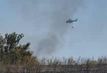 (FOTO) Vanredna situacija uvedena u Kladovu, vatra guta oko 150 hektara površine (foto)-vanredna-situacija-uvedena-u-kladovu,-vatra-guta-oko-150-hektara-povrsine