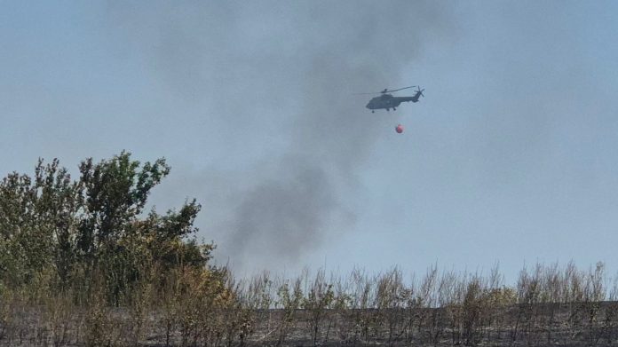 (foto)-vanredna-situacija-uvedena-u-kladovu,-vatra-guta-oko-150-hektara-povrsine (foto)-vanredna-situacija-uvedena-u-kladovu,-vatra-guta-oko-150-hektara-povrsine