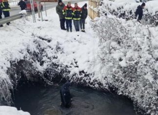 Sandžak: Tijelo ženske osobe pronađeno je potok Sušice sandzak:-tijelo-zenske-osobe-pronadjeno-je-potok-susice
