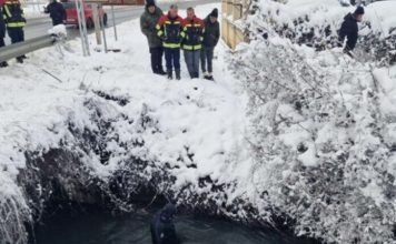 Sandžak: Tijelo ženske osobe pronađeno je potok Sušice sandzak:-tijelo-zenske-osobe-pronadjeno-je-potok-susice