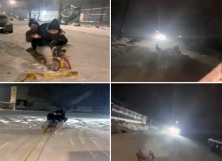 UZNEMIRUJUĆI VIDEO! Auto vukao djevojčice na sankama, pa ih pregazio drugi automobil uznemirujuci-video!-auto-vukao-djevojcice-na-sankama,-pa-ih-pregazio-drugi-automobil