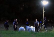 Tragedija u Njemačkoj: Supruga pronašla tijelo muškarca, pas zatečen pored njega tragedija-u-njemackoj:-supruga-pronasla-tijelo-muskarca,-pas-zatecen-pored-njega