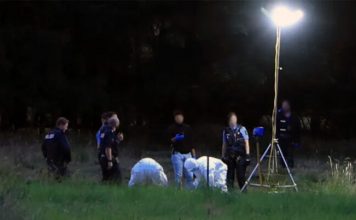 Tragedija u Njemačkoj: Supruga pronašla tijelo muškarca, pas zatečen pored njega tragedija-u-njemackoj:-supruga-pronasla-tijelo-muskarca,-pas-zatecen-pored-njega