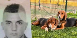 /VIDEO/ Upali u dvorište i ukrali lovačke pse – Objavljen snimak krađe u selu /video/-upali-u-dvoriste-i-ukrali-lovacke-pse-–-objavljen-snimak-kradje-u-selu