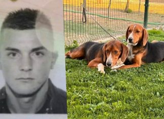 /VIDEO/ Upali u dvorište i ukrali lovačke pse – Objavljen snimak krađe u selu /video/-upali-u-dvoriste-i-ukrali-lovacke-pse-–-objavljen-snimak-kradje-u-selu